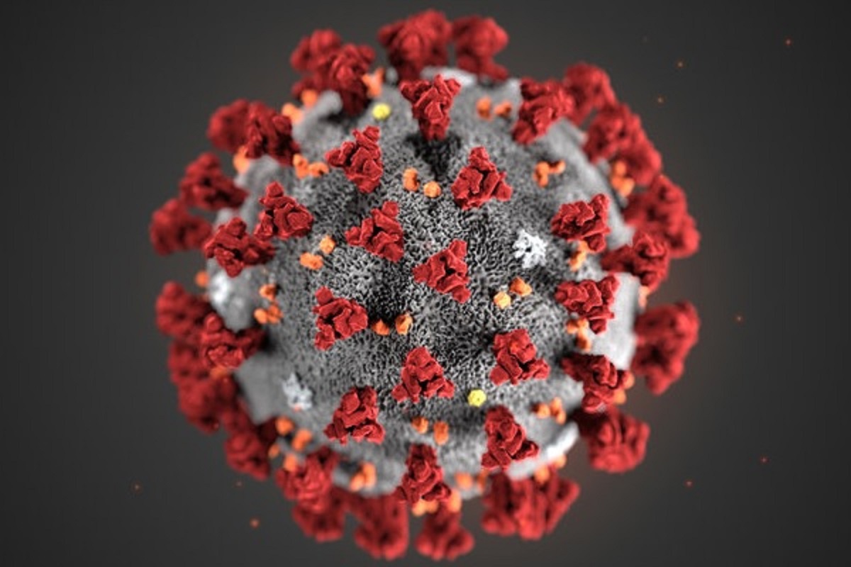 Coronavirus: Massnahmen gegen Konkurse